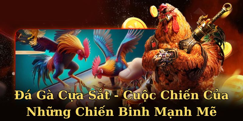 Các cửa cược bạn nên biết trong đá gà cựa sắt