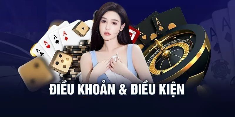 Vai trò của điều khoản và điều kiện WW88