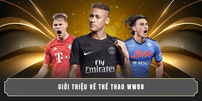 Giới thiệu về thể thao WW88