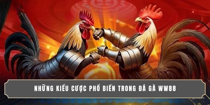 Những kiểu cược phổ biến trong đá gà WW88