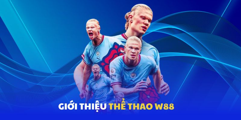 Thể thao sôi động WW88